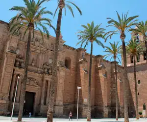 Desalojo Almería - Roquetas de Mar, El Ejido
